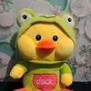 anak.bebek570