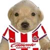 jasiel_torres_