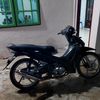 andraa_480