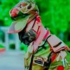 bd.army.user