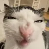 olu4kxdfags