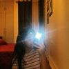 adrina.zereshki