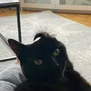 yurii.pivkov