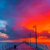 music._542