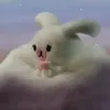 rottng._