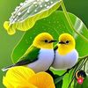 adeel.jutt6854
