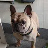 guillaumeferretti0
