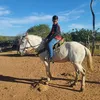 davi.631