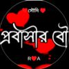 user92625986009034