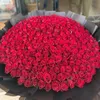 rasha.ahmed6278