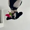 hasbillh