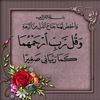 user75223955263990