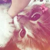 ooo._.oliwiq