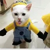 roeganjames
