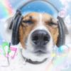 dreambrotherlovr