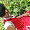 pengendali_sawit1