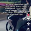 sukatorpedo14