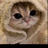 eileen_418