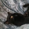 roxannelay5