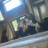 nevaeh_flipp