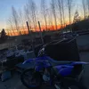 napsu31