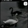 .f74312