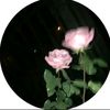 asmaa.menaisy