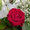 abdul.hai.abdul.h17