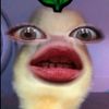 rannnraraa
