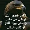 user7831192401679