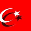 kurtbey.81