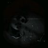 user5754119191542