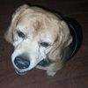 ella365056