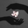 rowaina_19