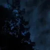 zakarya_121
