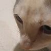 mycat673