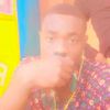 delineson.simus