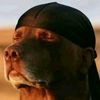 pioken98