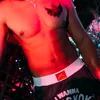 Dreamboi