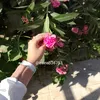 zainab36753