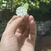 D iuu ơii 🌻