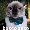 deybi_el_papu_pro