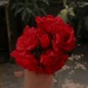 mayaislam0802