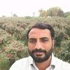 mumtaz.ali2333