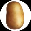 potato_ok3