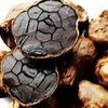 black.garlic48