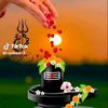 shankr.kumar1