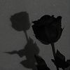 anukss8