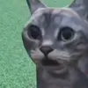 ccountalt3