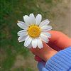 fatim.mirzzad6